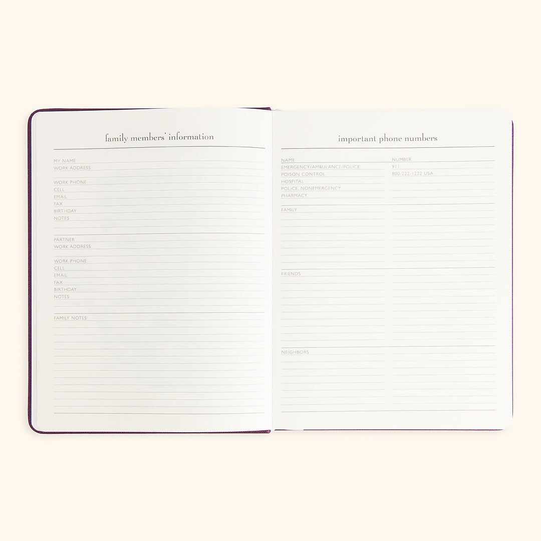 My Agenda Desktop 18-Month Planner 2025–26