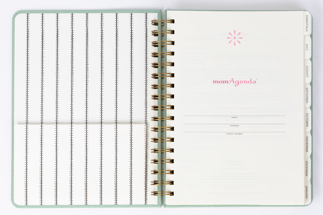 Home Office Mini 2024-25 Academic Planner