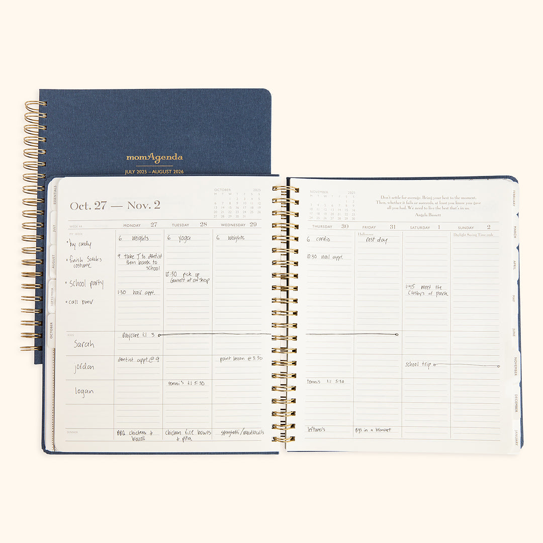 Home Office Academic Year Planner 2025–26 (12 Months)