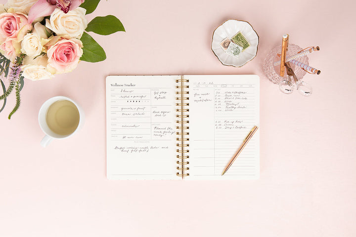 Self-Care Planner for Wellness Tracking