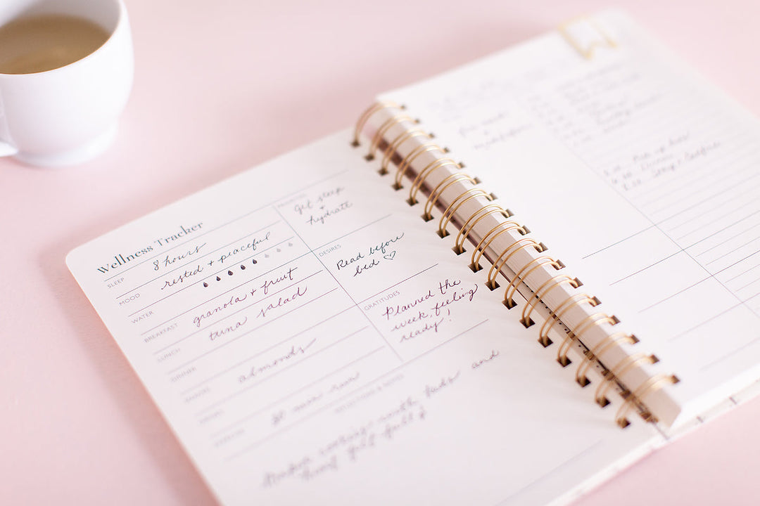 Self-Care Planner for Wellness Tracking